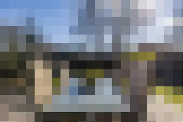 Schapendrift 153 Beilen thumbnail 57