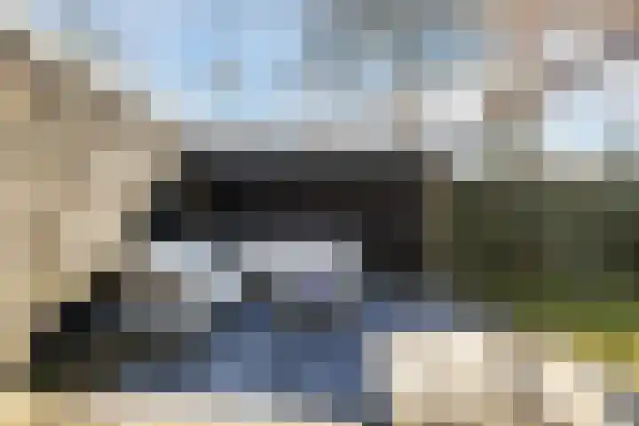 Schapendrift 153 Beilen thumbnail 62