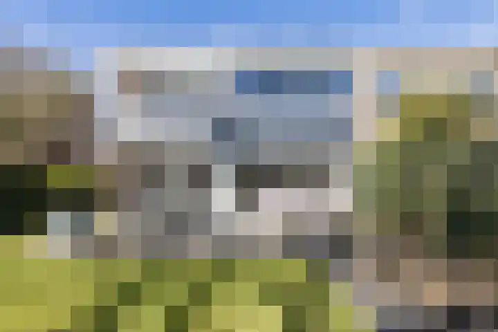 Schapendrift 153 Beilen thumbnail 63