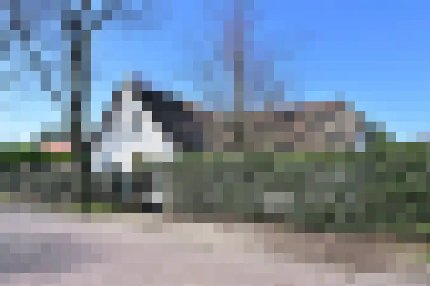 Schapendrift 16 in Blaricum