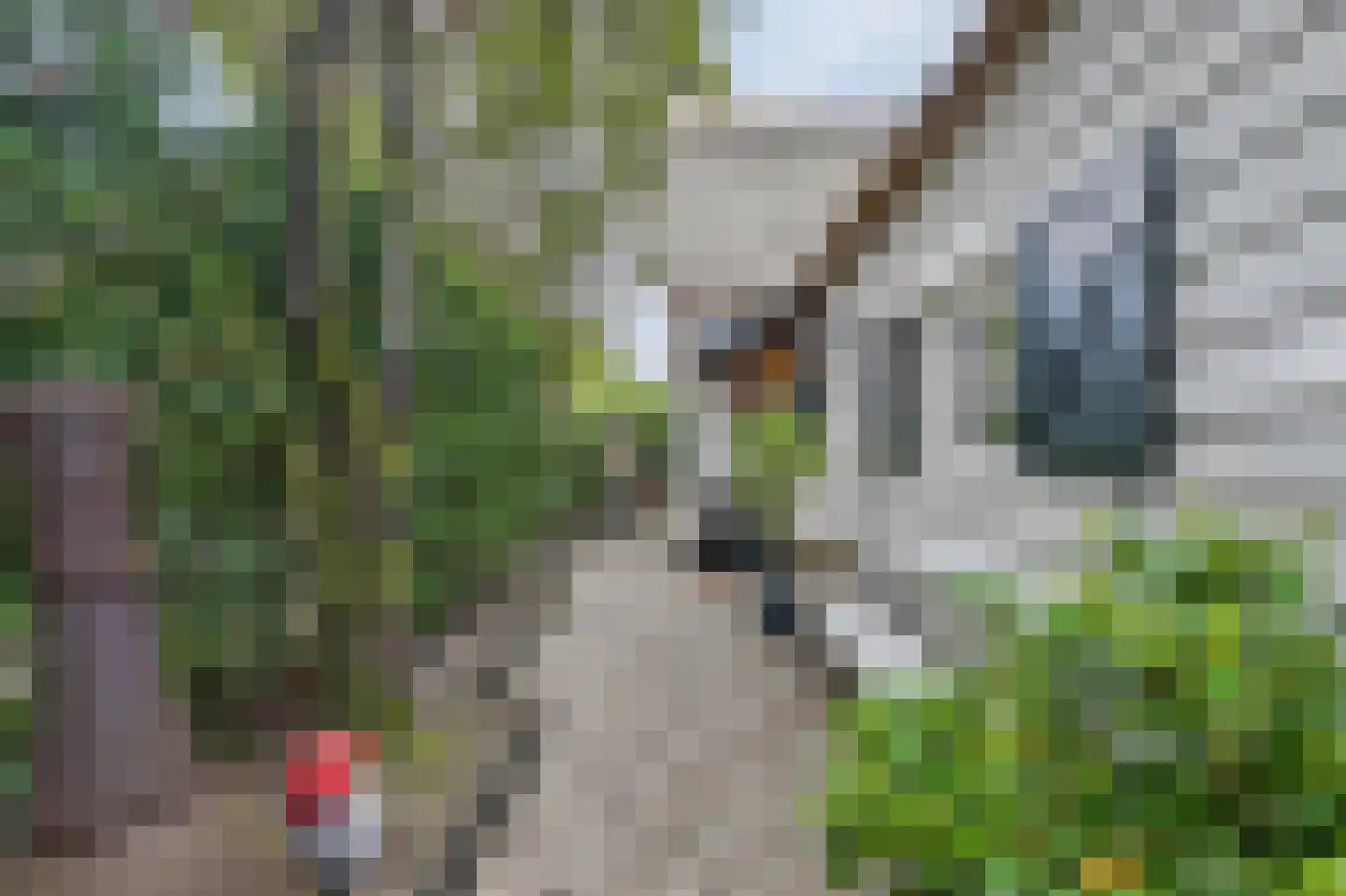 Schapendrift 16 Blaricum thumbnail 30