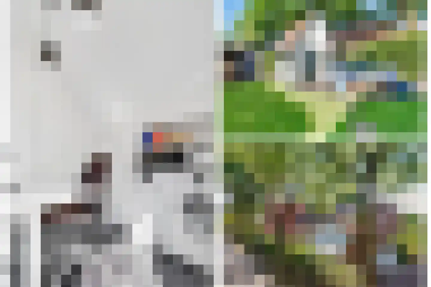 Schapendrift 16 Blaricum thumbnail 35