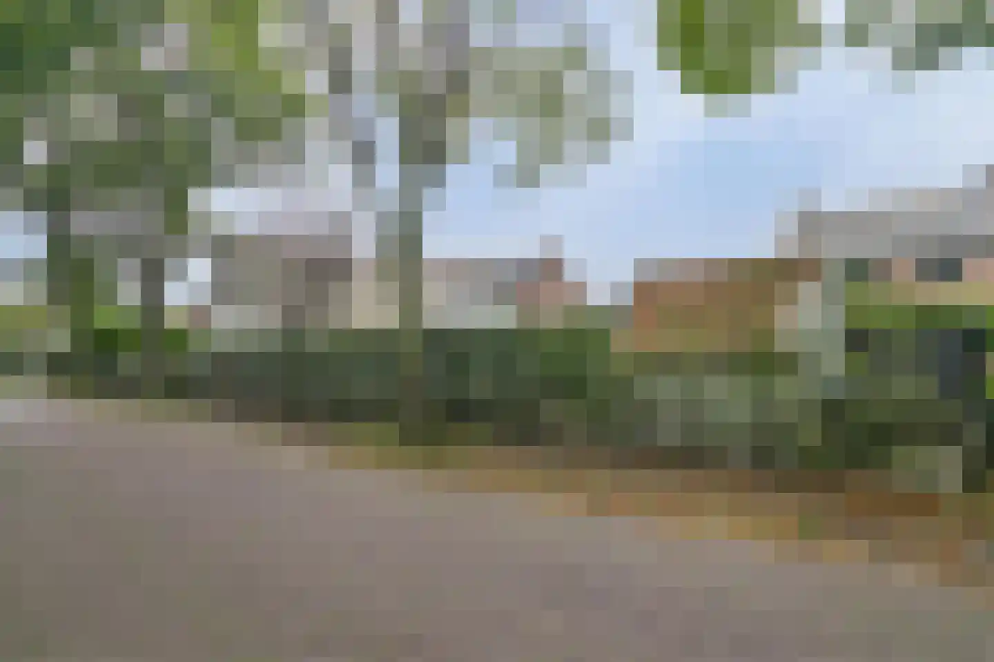 Schapendrift 16 Blaricum thumbnail 4