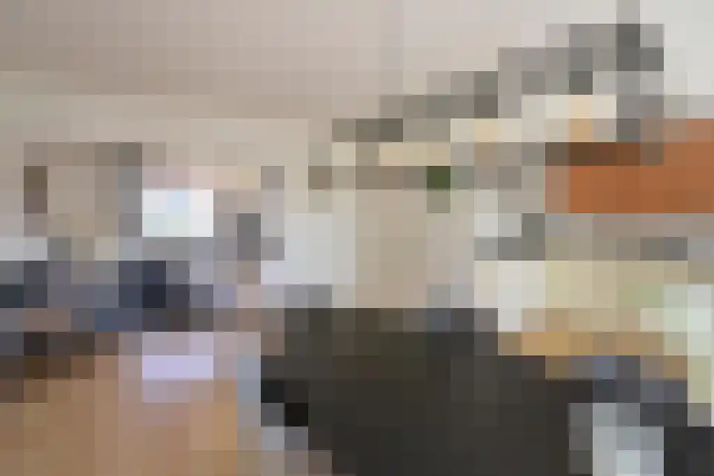 Schapendrift 2 a Laren thumbnail 5