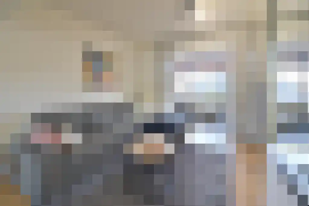 Schapendrift 2 a Laren thumbnail 7