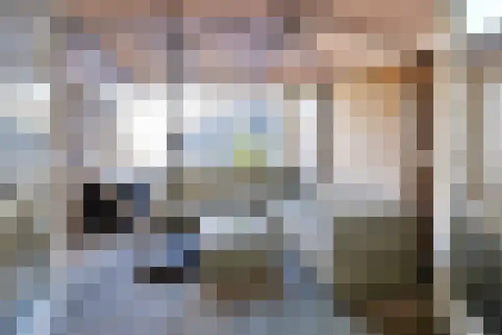 Schapendrift 2 a Laren thumbnail 8