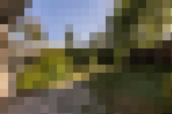 Schapendrift 2 Huizen thumbnail 11