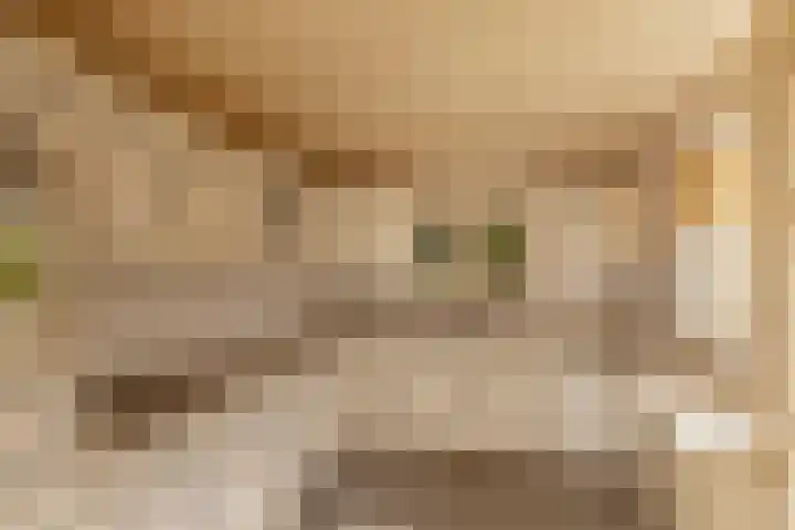 Schapendrift 2 Huizen thumbnail 5