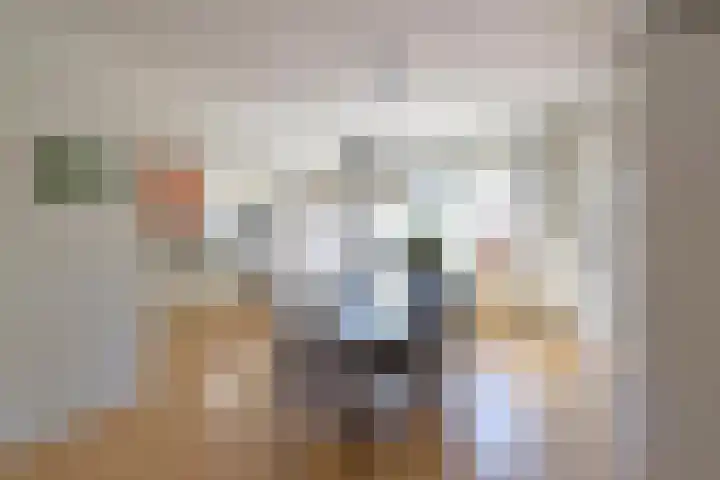 Schapendrift 2 Laren thumbnail 4