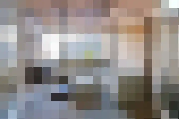 Schapendrift 2 Laren thumbnail 6