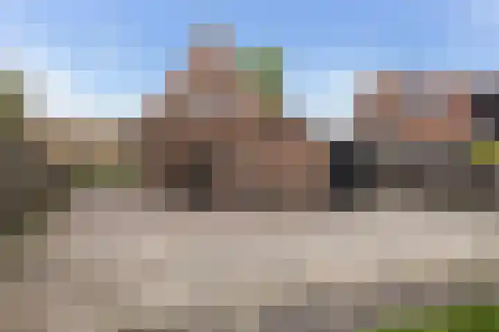 Schapendrift 20 Donkerbroek thumbnail 4