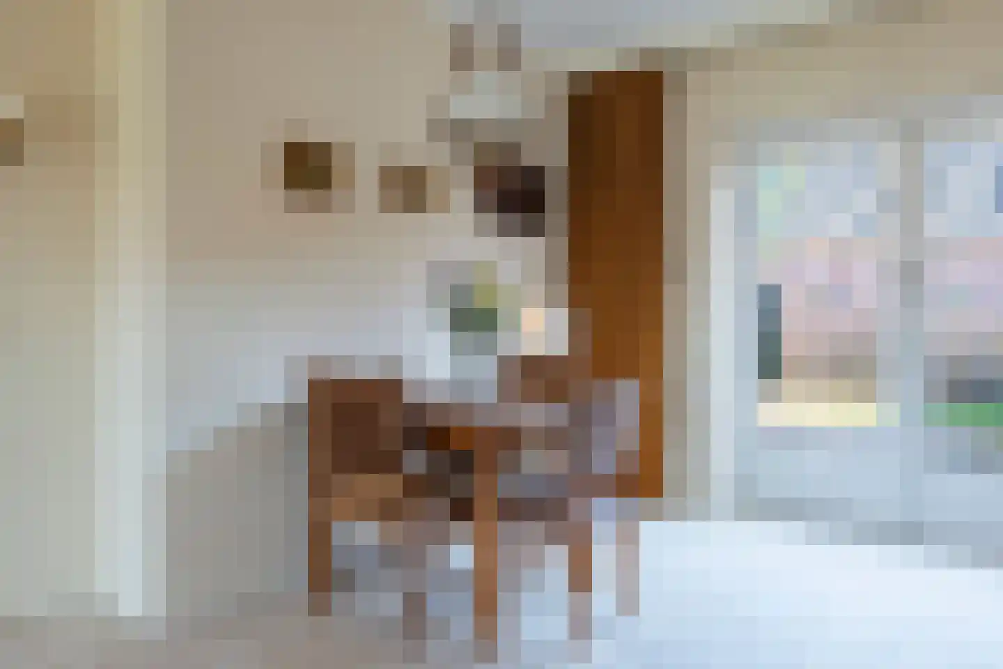 Schapendrift 24 Laren thumbnail 13