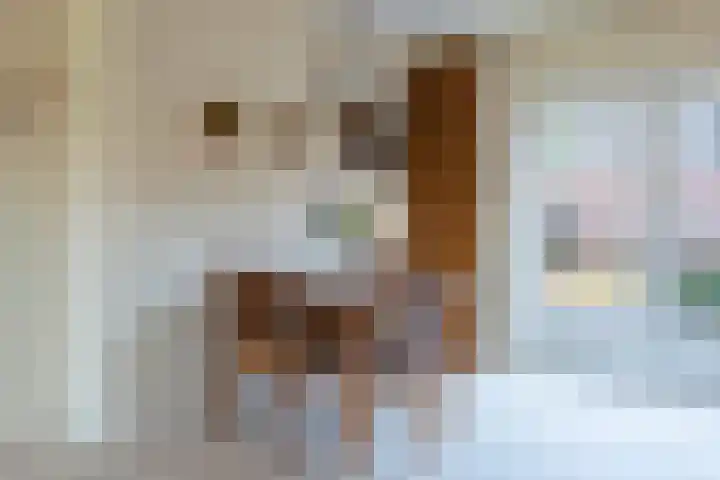 Schapendrift 24 Laren thumbnail 13