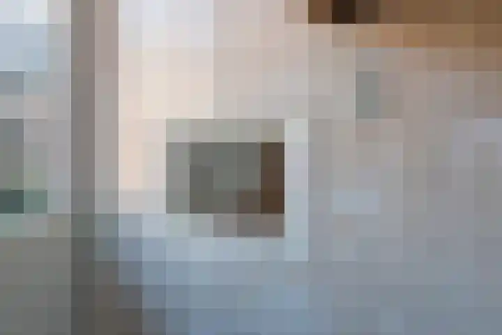 Schapendrift 24 Laren thumbnail 16
