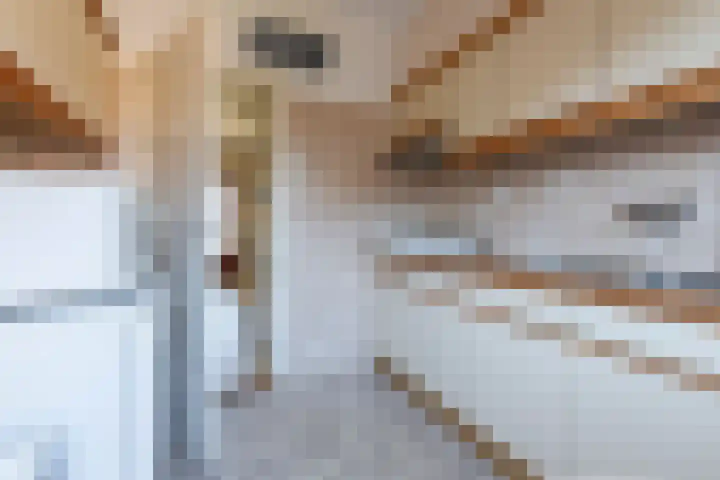 Schapendrift 24 Laren thumbnail 17