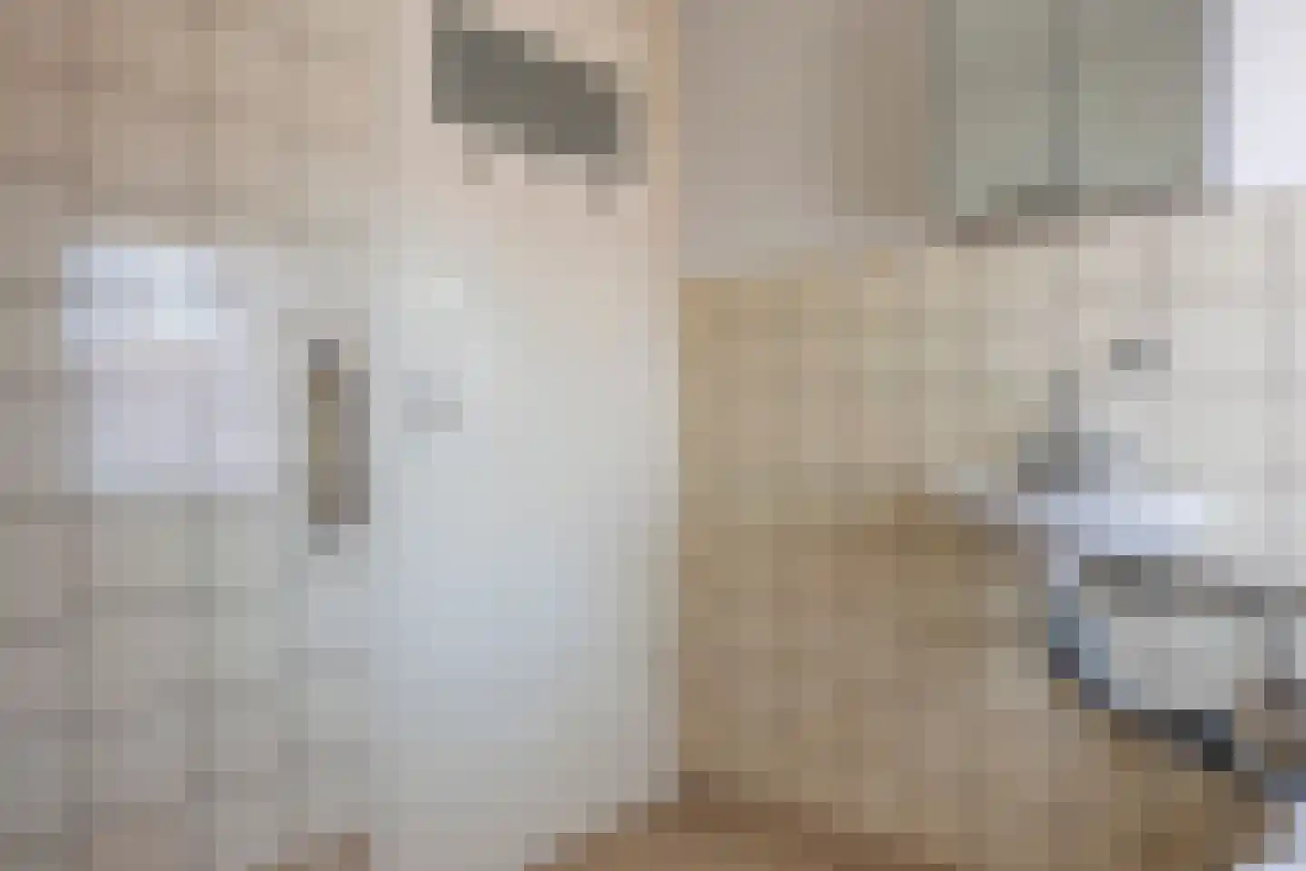 Schapendrift 24 Laren thumbnail 26