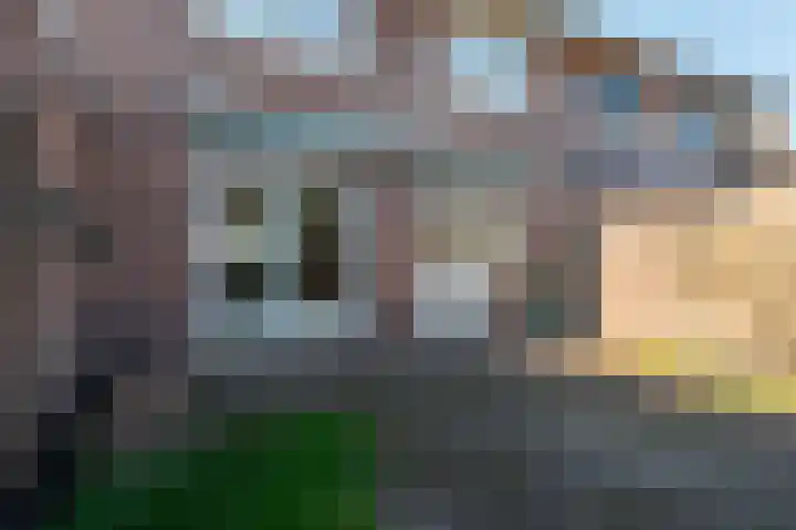 Schapendrift 24 Laren thumbnail 33