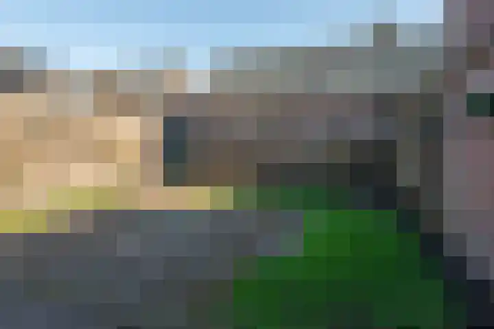 Schapendrift 24 Laren thumbnail 35