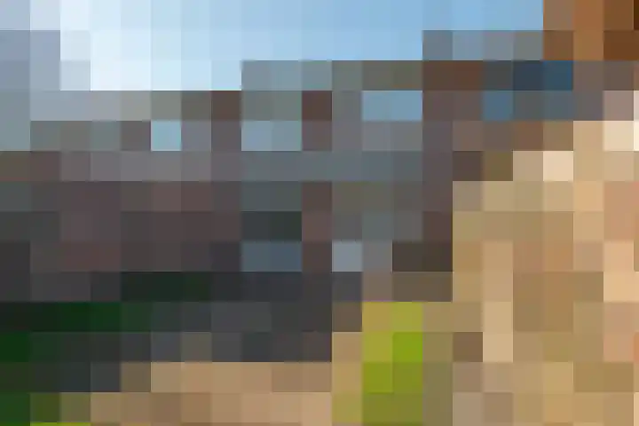 Schapendrift 24 Laren thumbnail 36