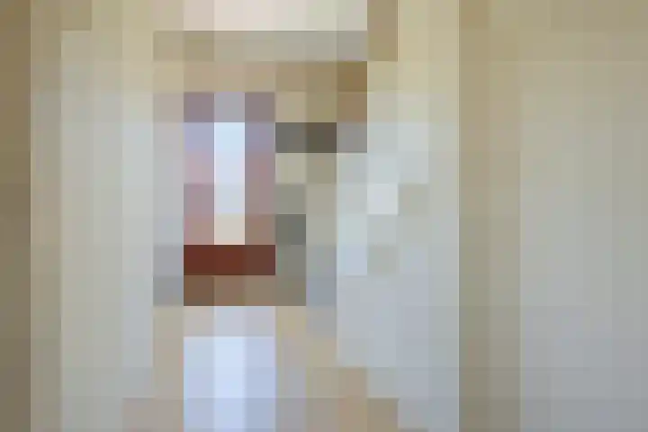 Schapendrift 24 Laren thumbnail 5
