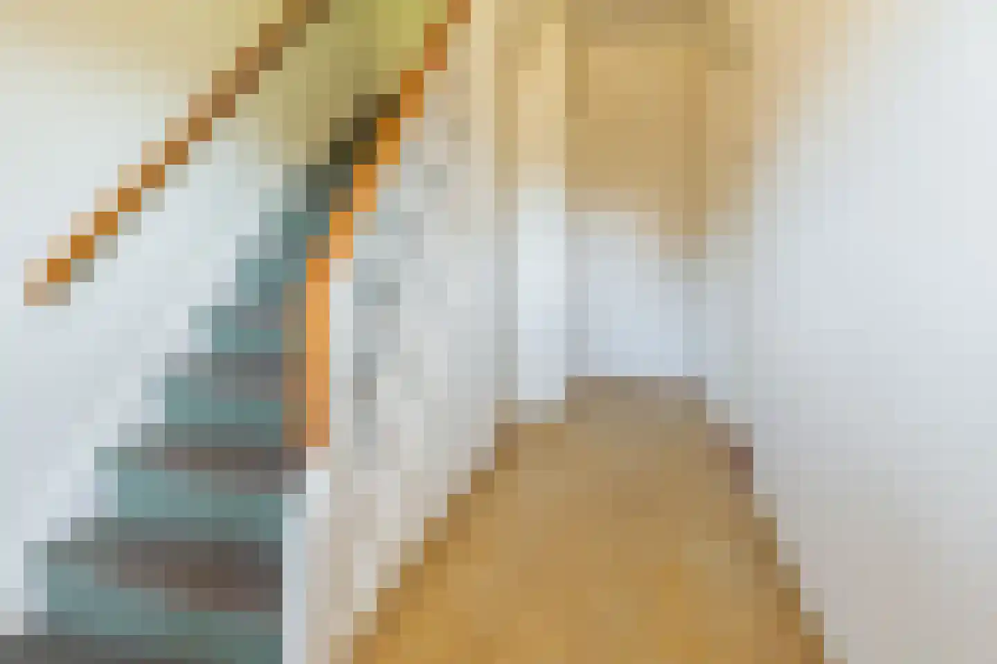 Schapendrift 24 Laren thumbnail 7