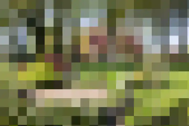 Schapendrift 25 Elspeet thumbnail 10