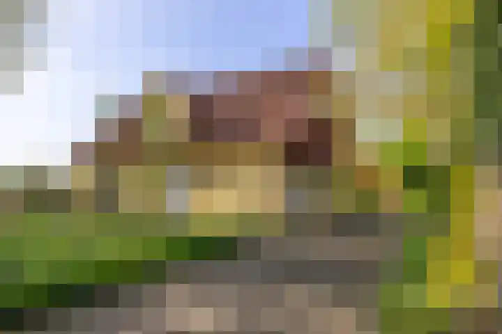 Schapendrift 25 Elspeet thumbnail 12