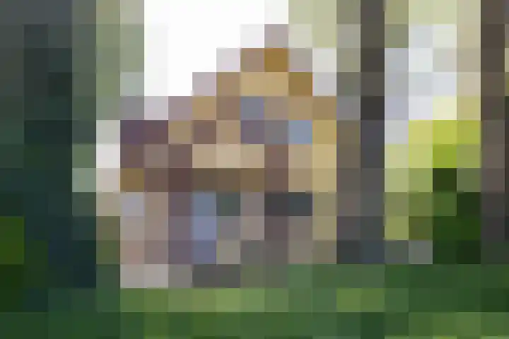 Schapendrift 25 Elspeet thumbnail 14