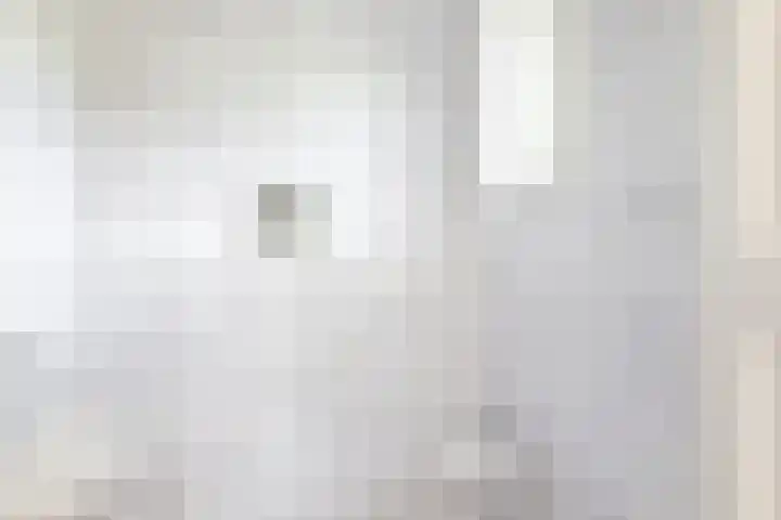 Schapendrift 25 Elspeet thumbnail 17