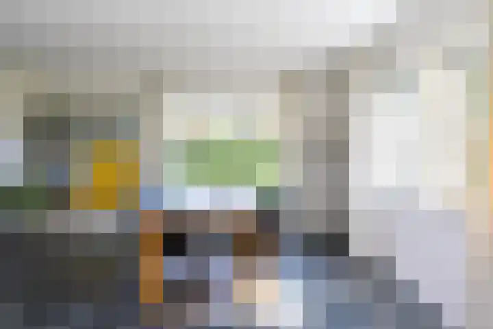 Schapendrift 25 Elspeet thumbnail 19