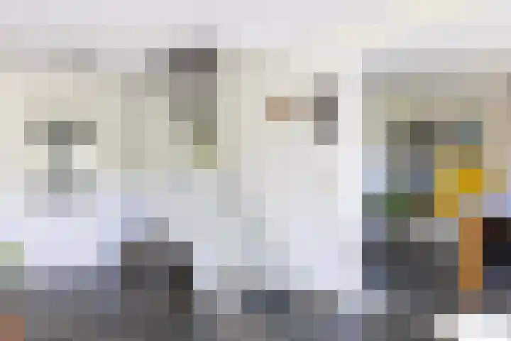 Schapendrift 25 Elspeet thumbnail 20