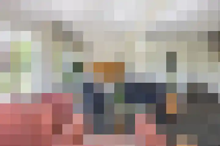 Schapendrift 25 Elspeet thumbnail 21