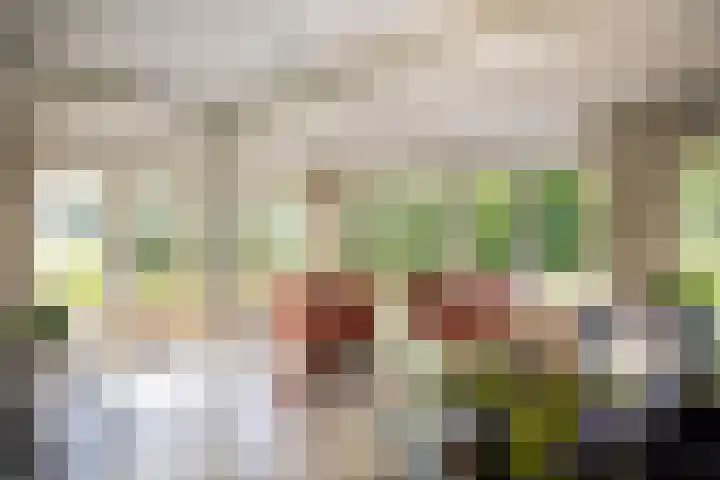 Schapendrift 25 Elspeet thumbnail 22