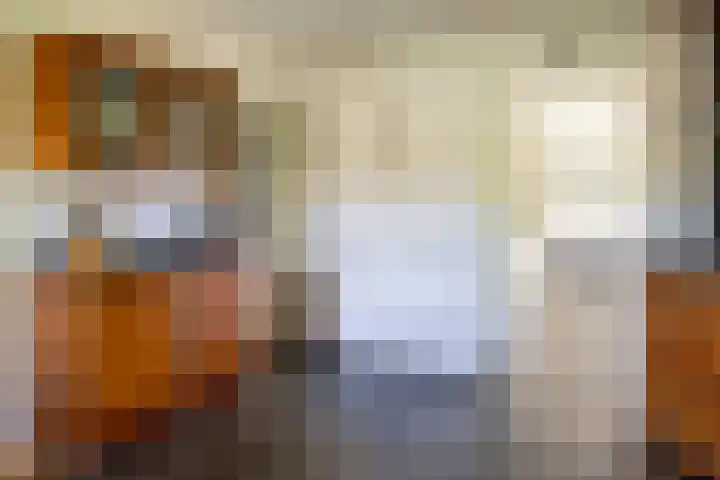 Schapendrift 25 Elspeet thumbnail 25