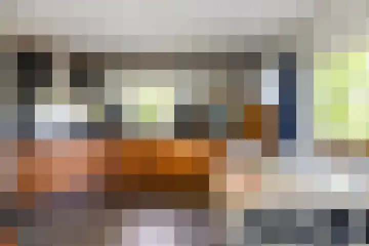 Schapendrift 25 Elspeet thumbnail 26
