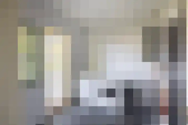 Schapendrift 25 Elspeet thumbnail 28
