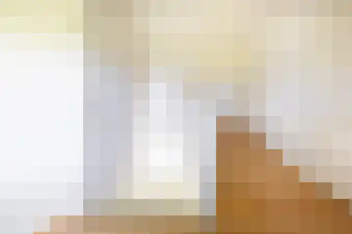 Schapendrift 25 Elspeet thumbnail 29