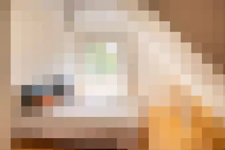 Schapendrift 25 Elspeet thumbnail 30
