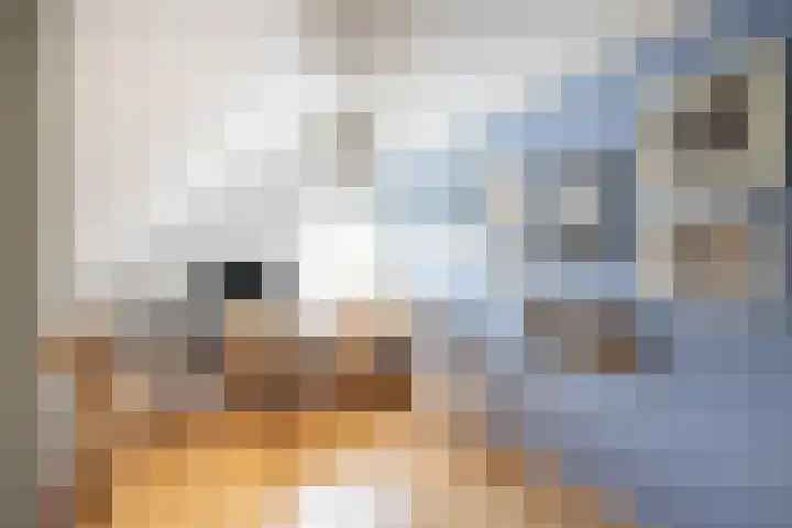 Schapendrift 25 Elspeet thumbnail 31