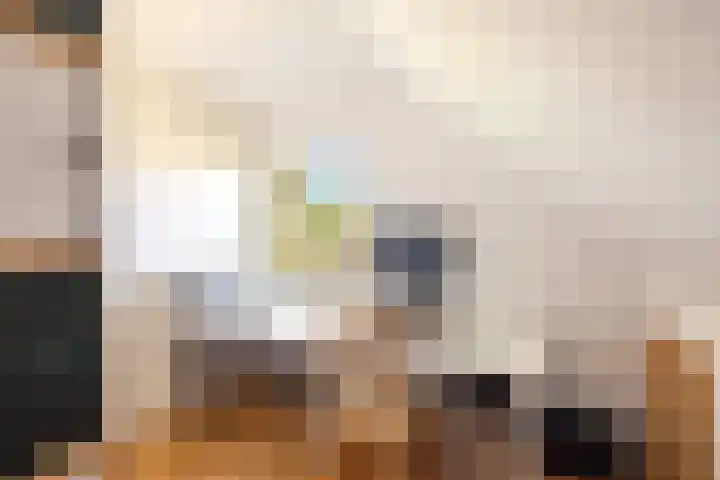 Schapendrift 25 Elspeet thumbnail 32