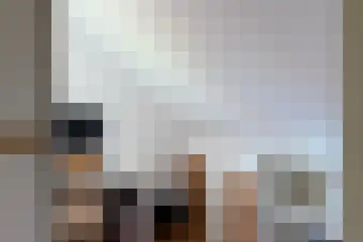 Schapendrift 25 Elspeet thumbnail 33