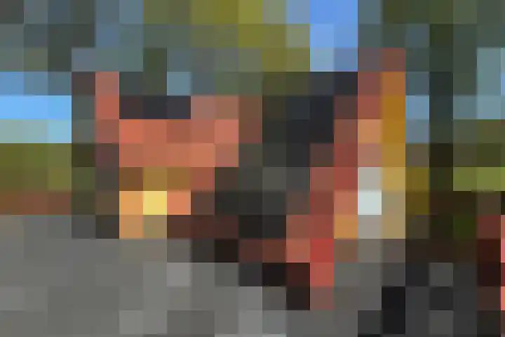 Schapendrift 25 Elspeet thumbnail 36