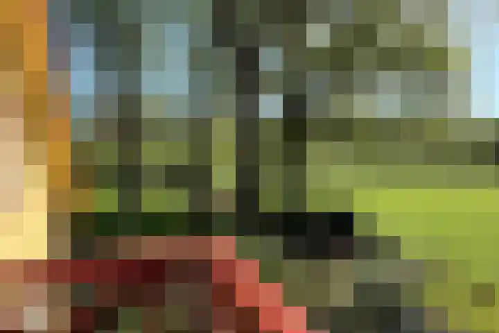 Schapendrift 25 Elspeet thumbnail 37
