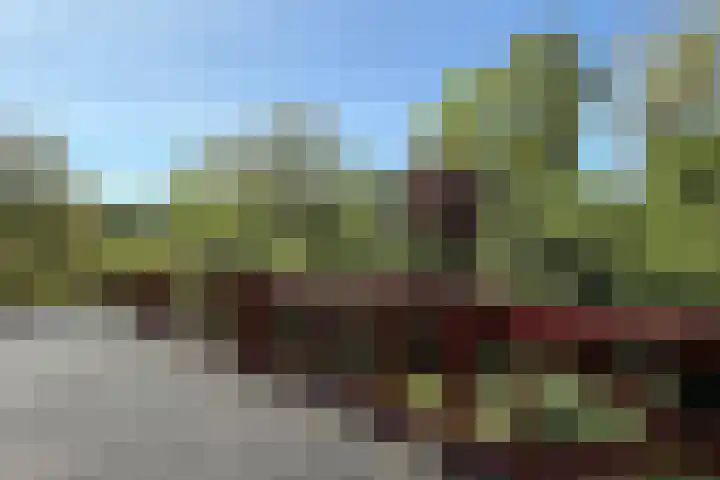 Schapendrift 25 Elspeet thumbnail 38