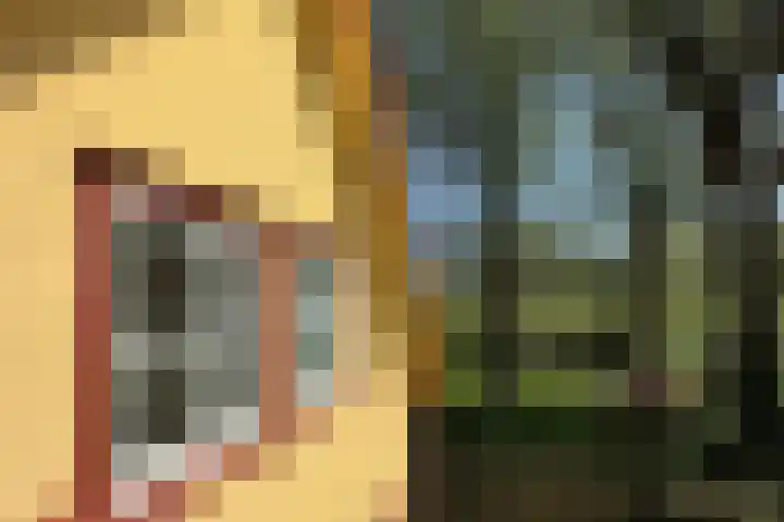 Schapendrift 25 Elspeet thumbnail 39