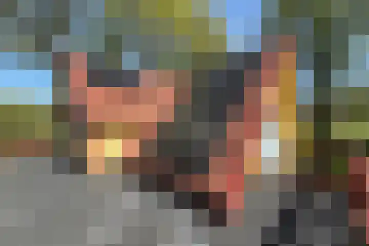 Schapendrift 25 Elspeet thumbnail 40