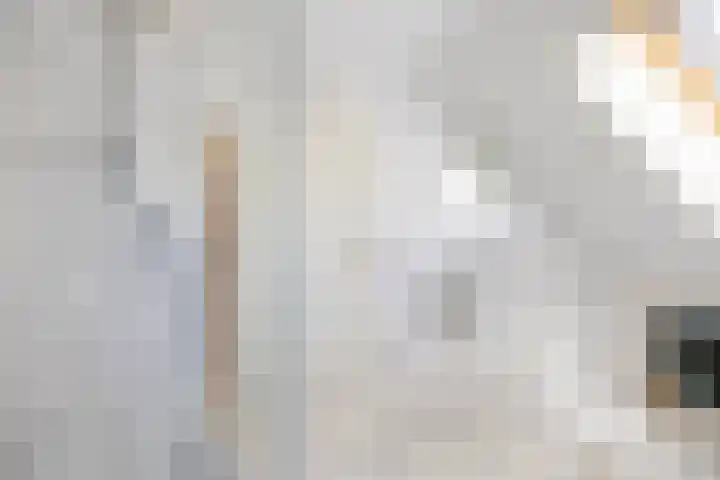 Schapendrift 25 Elspeet thumbnail 41