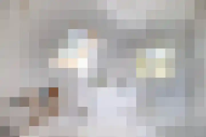 Schapendrift 25 Elspeet thumbnail 42