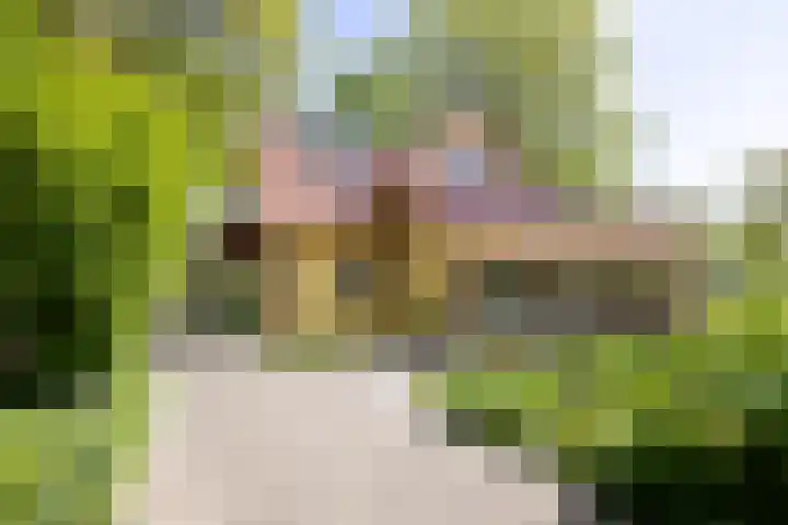 Schapendrift 25 Elspeet thumbnail 43