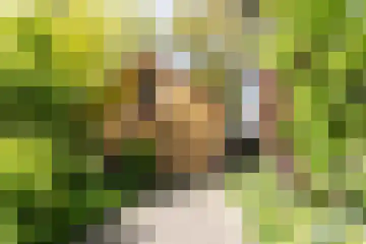 Schapendrift 25 Elspeet thumbnail 44